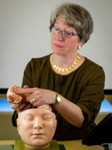 Dr. Elizabeth Sandel showing brain parts