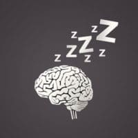 brain and sleep
