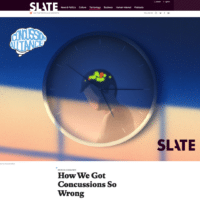 Slate Article